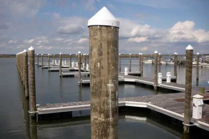 The new dock has pilings reinforced with fiberglass and installed according to new EPA standards to reduce toxic pollutants being introduced into the environment, and the decking is hardwood.
